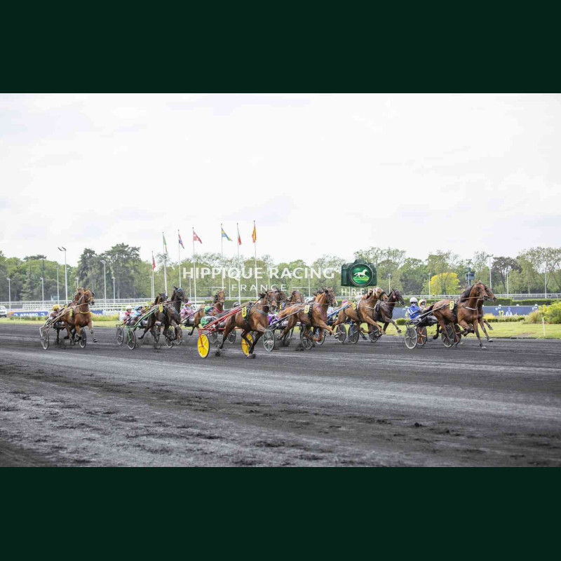 Course 4 02/05/2026 - photos course hippodrome paris vincennes trot