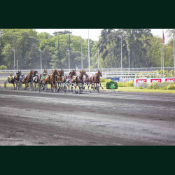 Course 5 02/05/2026 - photos course hippodrome paris vincennes trot