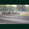 Course 5 02/05/2026 - photos course hippodrome paris vincennes trot