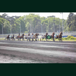 Course 6 02/05/2026 - photos course hippodrome paris vincennes trot