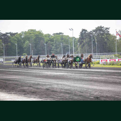 Course 7 02/05/2026 - photos course hippodrome paris vincennes trot