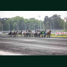 Course 7 02/05/2026 - photos course hippodrome paris vincennes trot