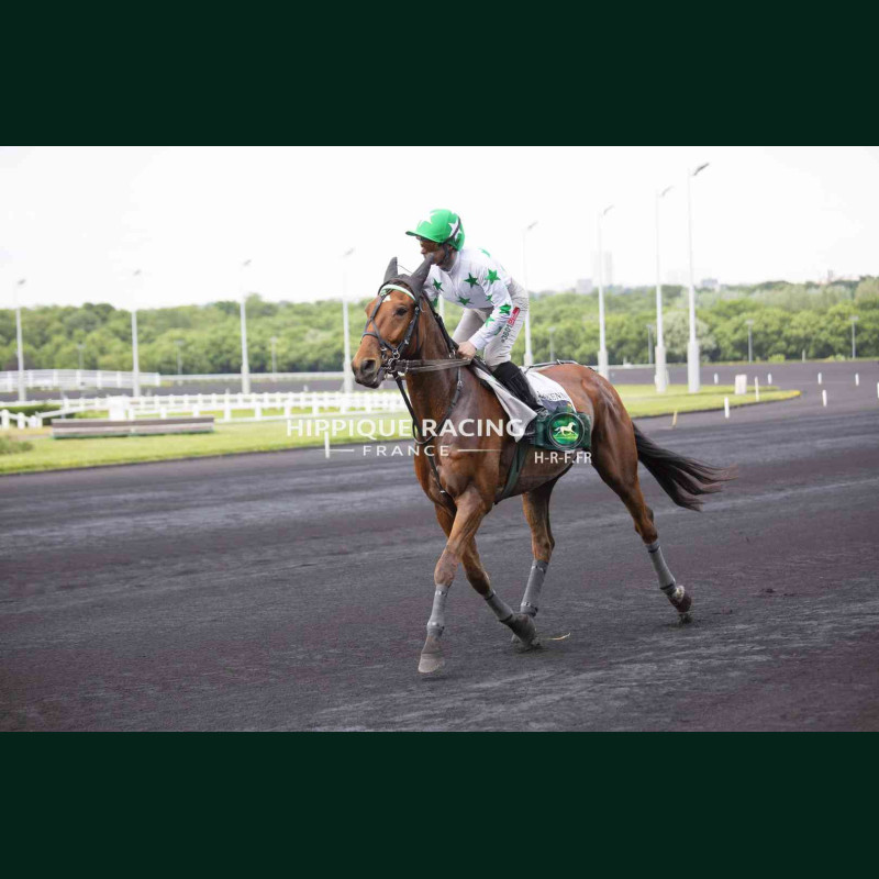 Course 8 02/05/2026 - photos course hippodrome paris vincennes trot