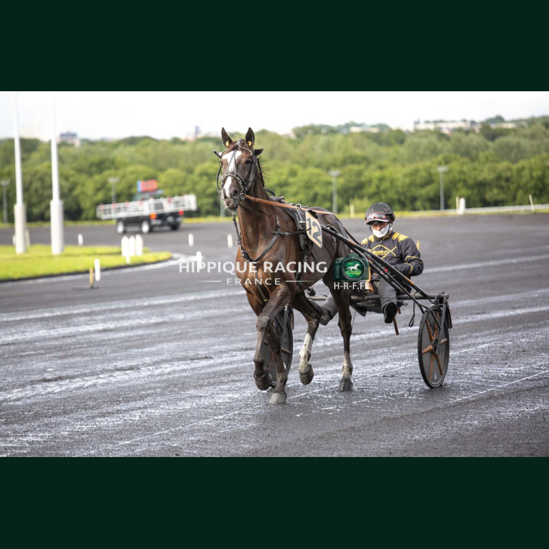 Course 1 15/05/2026 - photos course hippodrome paris vincennes trot