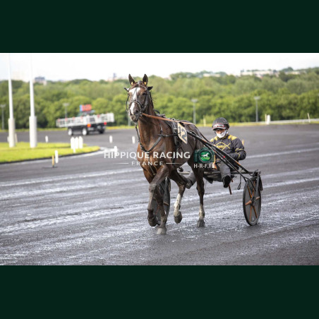 Course 1 15/05/2026 - photos course hippodrome paris vincennes trot