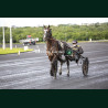 Course 1 15/05/2026 - photos course hippodrome paris vincennes trot