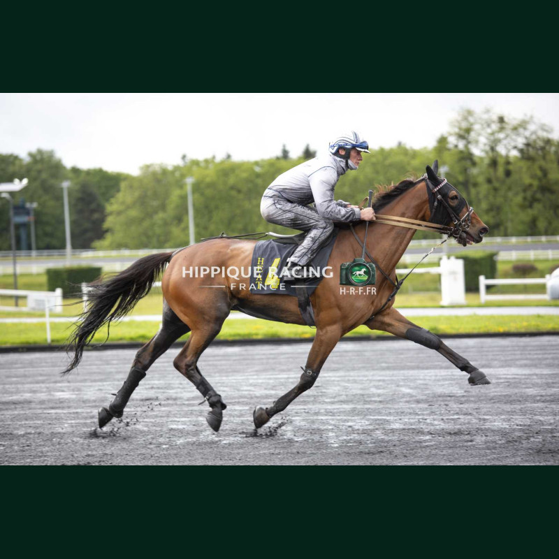 Heat Course 2 15/05/2026 - photos course hippodrome paris vincennes...