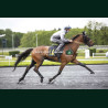 Heat Course 2 15/05/2026 - photos course hippodrome paris vincennes...