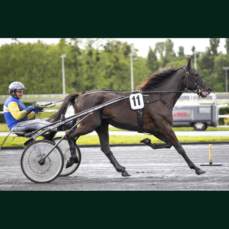 Heat Course 3 15/05/2026 - photos course hippodrome paris vincennes...