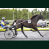 Heat Course 3 15/05/2026 - photos course hippodrome paris vincennes...