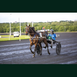 Course 3 15/05/2026 - photos course hippodrome paris vincennes trot
