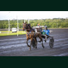 Course 3 15/05/2026 - photos course hippodrome paris vincennes trot