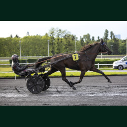 Heat Course 4 15/05/2026 - photos course hippodrome paris vincennes...