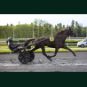 Heat Course 4 15/05/2026 - photos course hippodrome paris vincennes...