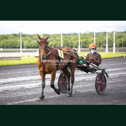 Course 4 15/05/2026 - photos course hippodrome paris vincennes trot