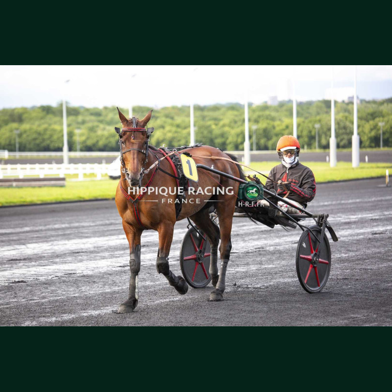 Course 4 15/05/2026 - photos course hippodrome paris vincennes trot
