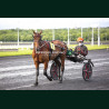 Course 4 15/05/2026 - photos course hippodrome paris vincennes trot