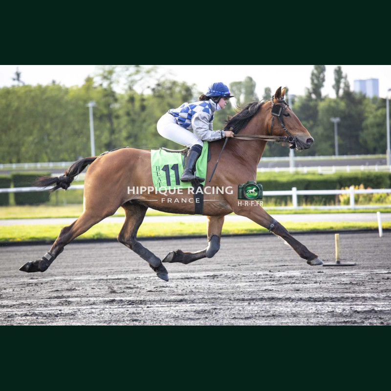 Heat Course 5 15/05/2026 - photos course hippodrome paris vincennes...