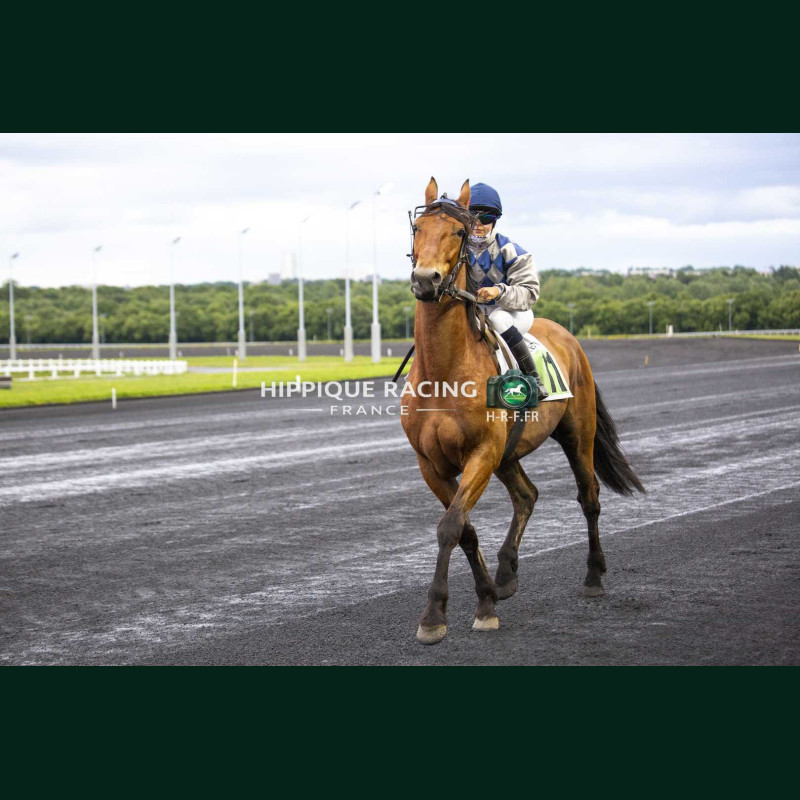 Course 5 15/05/2026 - photos course hippodrome paris vincennes trot