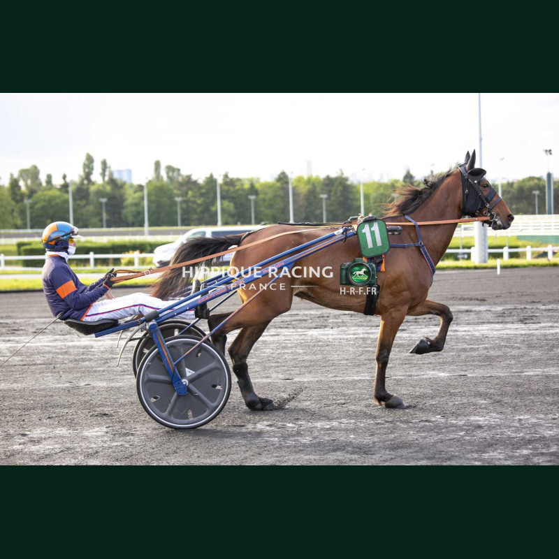 Heat Course 6 15/05/2026 - photos course hippodrome paris vincennes...