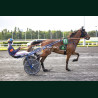 Heat Course 6 15/05/2026 - photos course hippodrome paris vincennes...
