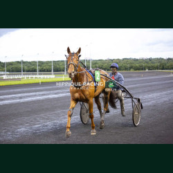 Course 6 15/05/2026 - photos course hippodrome paris vincennes trot