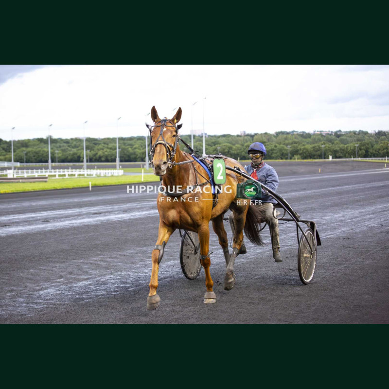 Course 6 15/05/2026 - photos course hippodrome paris vincennes trot