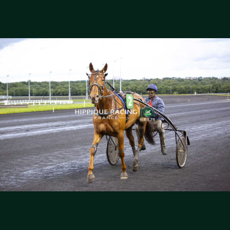 Course 6 15/05/2026 - photos course hippodrome paris vincennes trot