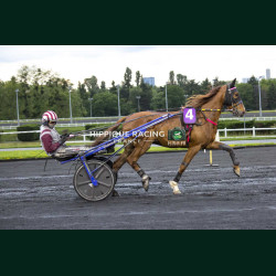 Heat Course 7 15/05/2026 - photos course hippodrome paris vincennes...