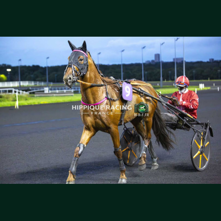 Course 7 15/05/2026 - photos course hippodrome paris vincennes trot
