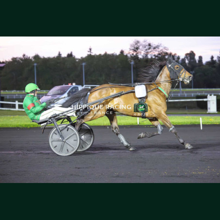 Heat Course 8 15/05/2026 - photos course hippodrome paris vincennes...