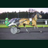 Heat Course 8 15/05/2026 - photos course hippodrome paris vincennes...