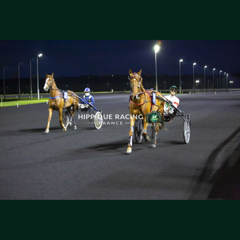 Course 8 15/05/2026 - photos course hippodrome paris vincennes trot