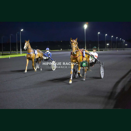 Course 8 15/05/2026 - photos course hippodrome paris vincennes trot