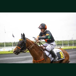 Course 1 19/05/2026 - photos course hippodrome paris vincennes trot