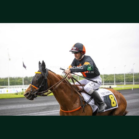 Course 1 19/05/2026 - photos course hippodrome paris vincennes trot