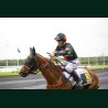Course 1 19/05/2026 - photos course hippodrome paris vincennes trot