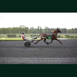 Heat Course 2 19/05/2026 - photos course hippodrome paris vincennes...
