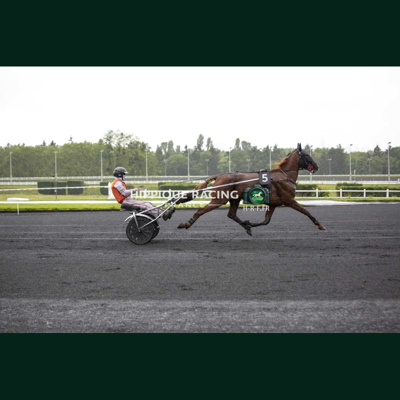 Heat Course 2 19/05/2026 - photos course hippodrome paris vincennes...