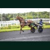 Course 2 19/05/2026 - photos course hippodrome paris vincennes trot