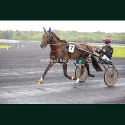 Heat Course 3 19/05/2026 - photos course hippodrome paris vincennes...