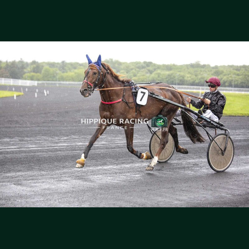Heat Course 3 19/05/2026 - photos course hippodrome paris vincennes...