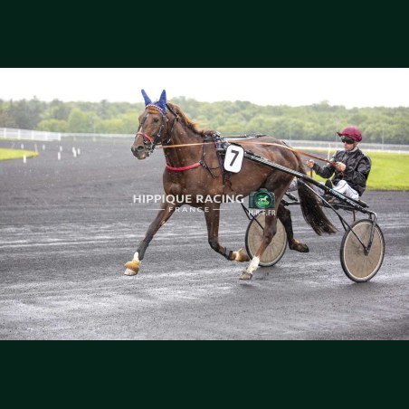 Heat Course 3 19/05/2026 - photos course hippodrome paris vincennes...