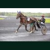 Heat Course 3 19/05/2026 - photos course hippodrome paris vincennes...