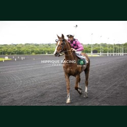 Course 3 19/05/2026 - photos course hippodrome paris vincennes trot