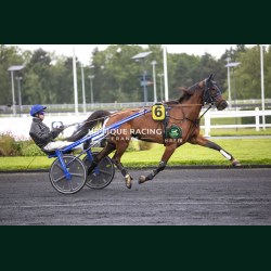 Heat Course 4 19/05/2026 - photos course hippodrome paris vincennes...