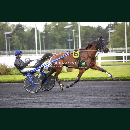Heat Course 4 19/05/2026 - photos course hippodrome paris vincennes...