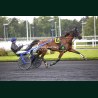Heat Course 4 19/05/2026 - photos course hippodrome paris vincennes...