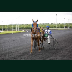 Course 4 19/05/2026 - photos course hippodrome paris vincennes trot