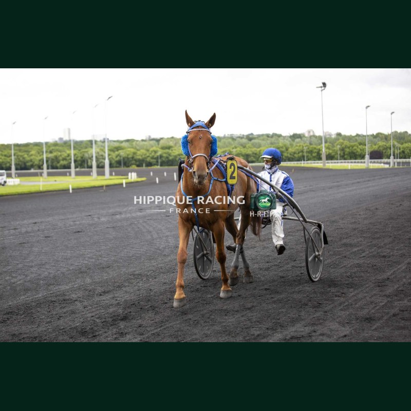 Course 4 19/05/2026 - photos course hippodrome paris vincennes trot